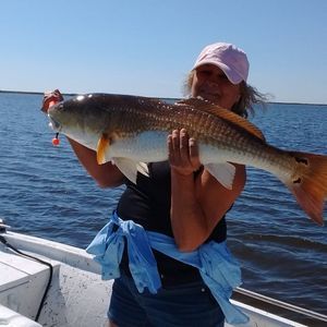 Meet your Posher, Bonnie